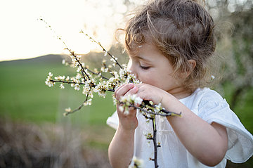 Kleines Mädchen riecht an den Blüten eines Frühlingsblühers