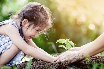 Kleines Mädchen pflanzt einen Setzling